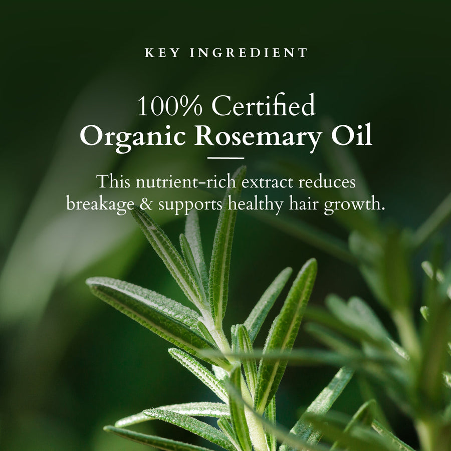 Lotus Organics+ Hair Fall Control Conditioner 150gm