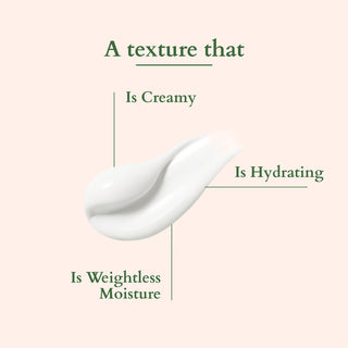 Lotus Organics+ Hair Fall Control Conditioner 150gm