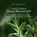Lotus Organics+ Hair Fall Control Revival Mask 150gm