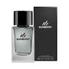 Burberry Mr. Burberry Eau De Toilette (100ml)