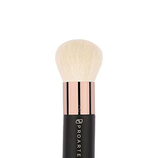 Proarte Body And Face Polishing Brush AP15