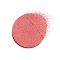 Chanel Les BeigeHealthy Winter Glow Blush