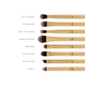 Swati Cosmetics Luxe Eye makeup Brush Set